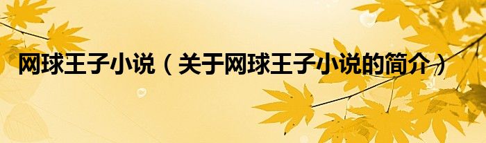 網(wǎng)球王子小說（關于網(wǎng)球王子小說的簡介）