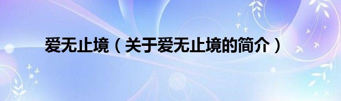 愛無止境（關(guān)于愛無止境的簡(jiǎn)介）