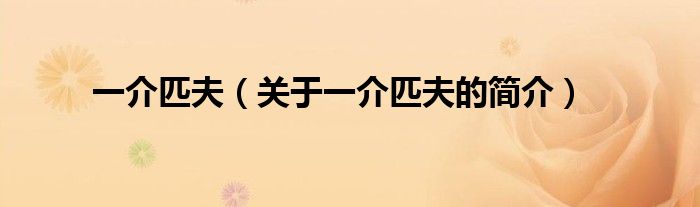 一介匹夫（關(guān)于一介匹夫的簡(jiǎn)介）