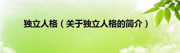 獨(dú)立人格（關(guān)于獨(dú)立人格的簡介）