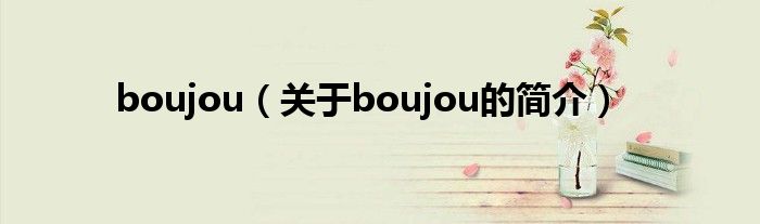 boujou（關(guān)于boujou的簡介）