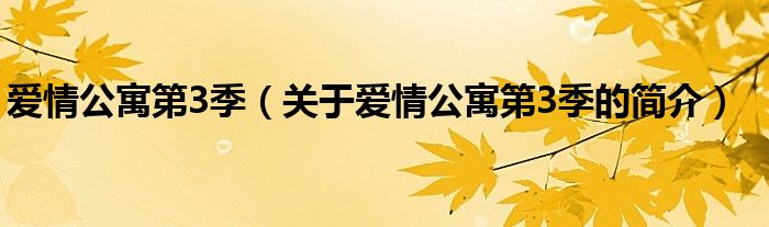 愛情公寓第3季（關(guān)于愛情公寓第3季的簡(jiǎn)介）