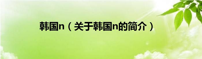 韓國(guó)n（關(guān)于韓國(guó)n的簡(jiǎn)介）