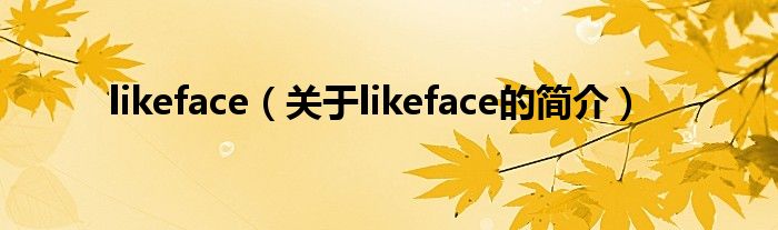 likeface（關于likeface的簡介）