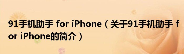 91手機助手 for iPhone（關于91手機助手 for iPhone的簡介）