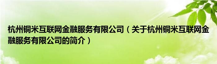 杭州銅米互聯(lián)網(wǎng)金融服務(wù)有限公司（關(guān)于杭州銅米互聯(lián)網(wǎng)金融服務(wù)有限公司的簡介）