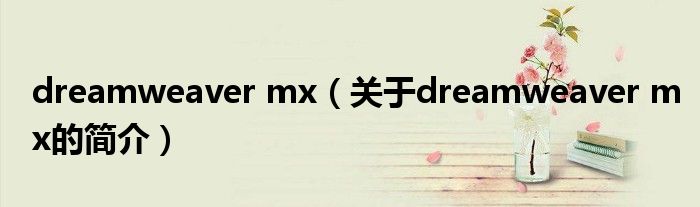 dreamweaver mx（關(guān)于dreamweaver mx的簡(jiǎn)介）