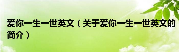 愛你一生一世英文（關(guān)于愛你一生一世英文的簡介）