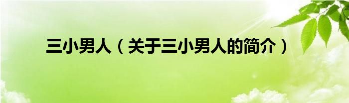 三小男人（關(guān)于三小男人的簡介）