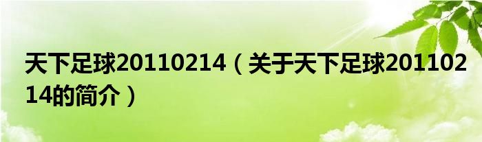 天下足球20110214（關于天下足球20110214的簡介）