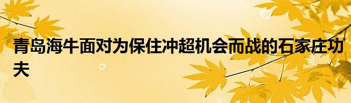 青島海牛面對為保住沖超機會而戰(zhàn)的石家莊功夫