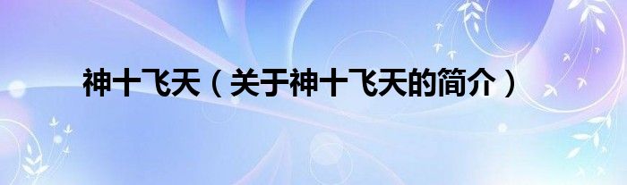 神十飛天（關(guān)于神十飛天的簡介）