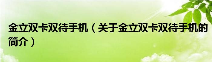 金立雙卡雙待手機(jī)（關(guān)于金立雙卡雙待手機(jī)的簡介）