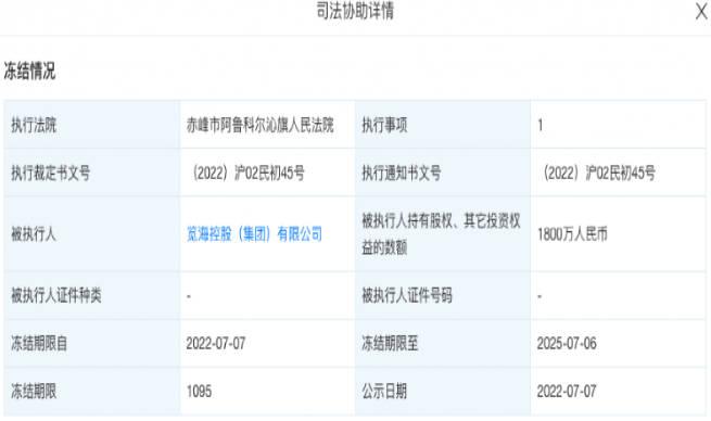 娛樂圈老公接連出事，董卿老公被強(qiáng)制執(zhí)行4億？