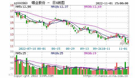 錫業(yè)股份董事長呼吁嚴控國內(nèi)錫冶煉總量，防止大規(guī)模產(chǎn)能過剩