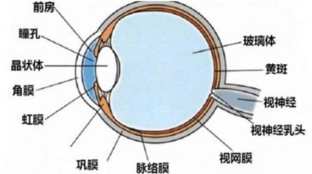 視神經(jīng)炎是怎么引起的？