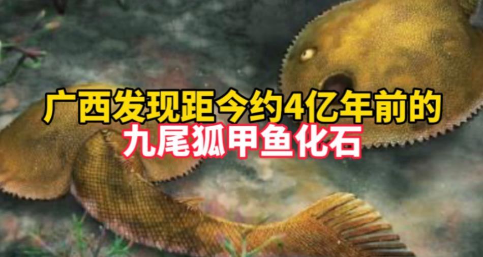 發(fā)現(xiàn)新屬種九尾狐甲魚，揭開盔甲魚類尾鰭的神秘面紗