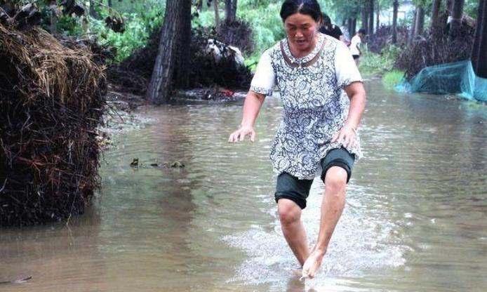 山西運城暴雨過后市民撈魚引發(fā)關(guān)注，經(jīng)濟利益與樂趣并存