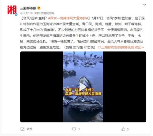 臺風“泰利”帶來豐盛海鮮，深圳玉海灣沙灘成“海鮮灘”