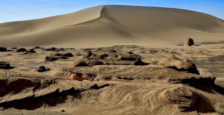 羅布泊野駱駝保護區(qū)禁私自進入，外地游客嚴(yán)防危險