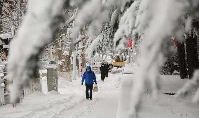 寒潮來襲，冷流雪肆虐煙臺(tái)威海，如北極科考一般的冰雪景觀！