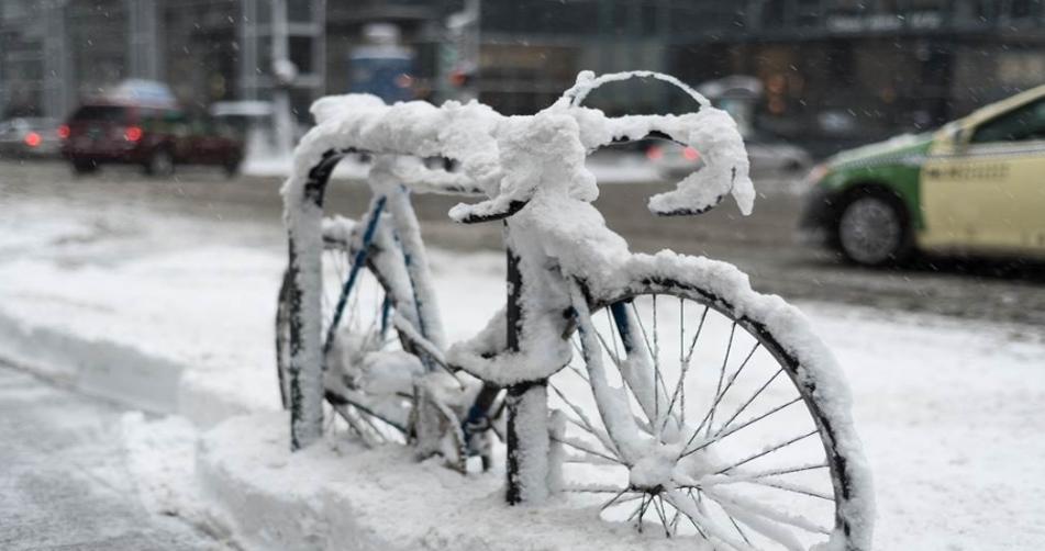 寒潮襲擊山東：雪深破紀錄，專家解讀應對之策