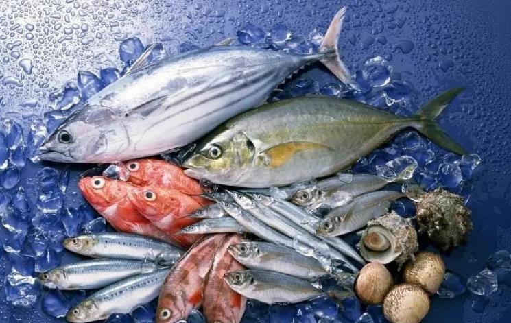 臺灣曝光：日本秋刀魚含致癌物超標40倍，島內網民憂心食品安全