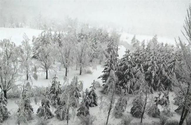 內(nèi)蒙古多倫縣突降大雪，交通受阻學(xué)校停課，氣象部門發(fā)布結(jié)冰預(yù)警